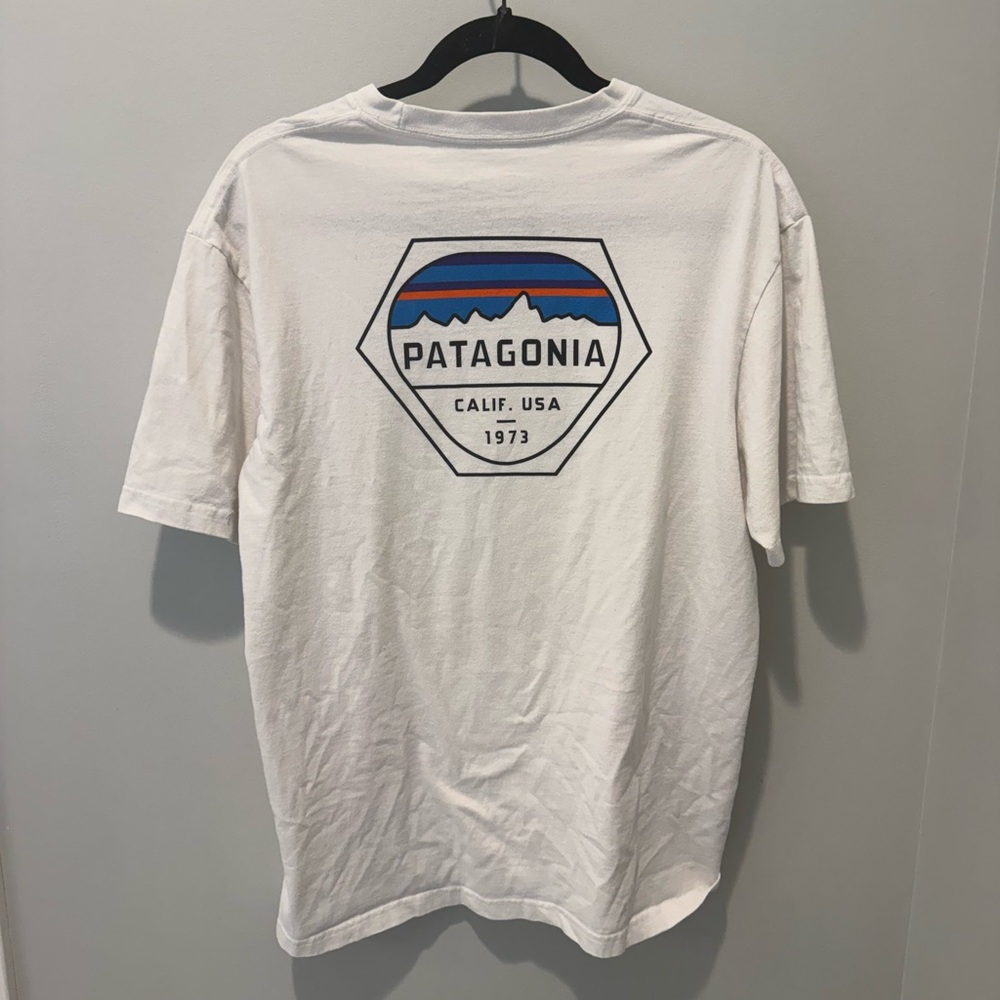 Patagonia White Tee with Mountain Graphic